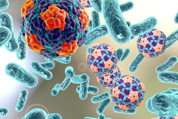 (生物醫藥論文發表)生物醫藥技術轉移新模式研究(范文) (生物醫藥論文發表)生物醫藥技術轉移新模式研究(范文)