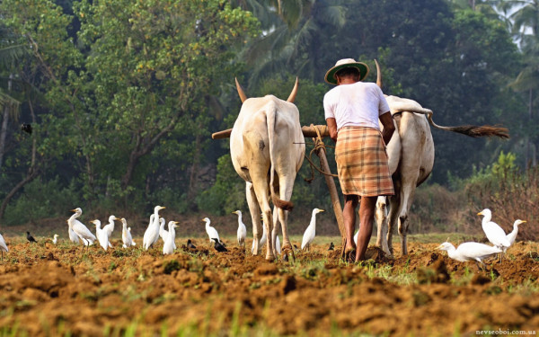 (形式政策論文)精準扶貧中貧困群眾主體作用發揮存在的問題及對策 (形式政策論文)精準扶貧中貧困群眾主體作用發揮存在的問題及對策